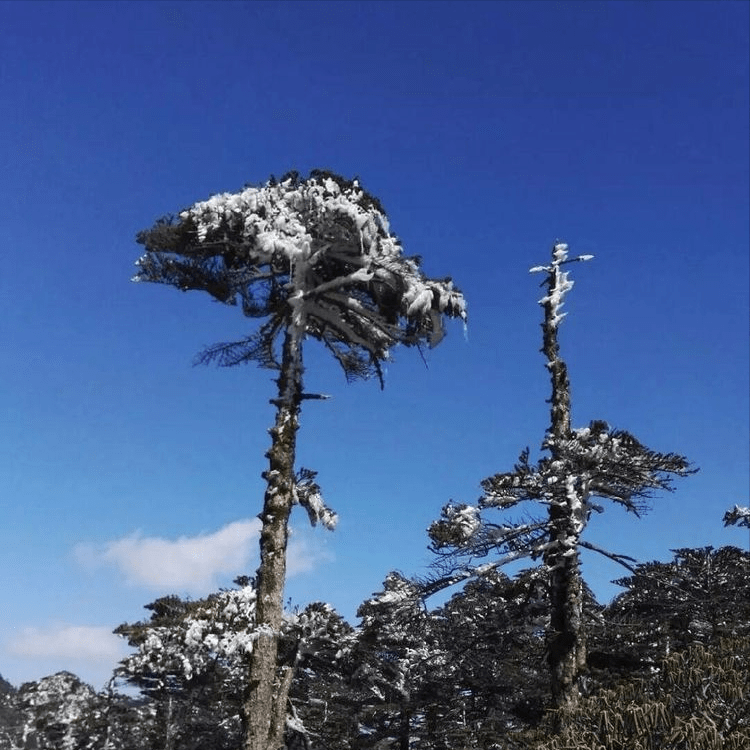 皇冠登一登二登三区别_大理三月登苍山